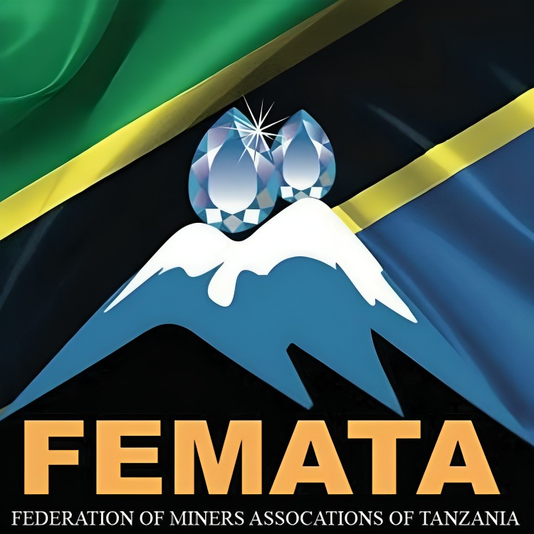FEMATA logo